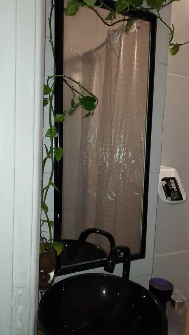 Appartement Atelie Quase Na Lua